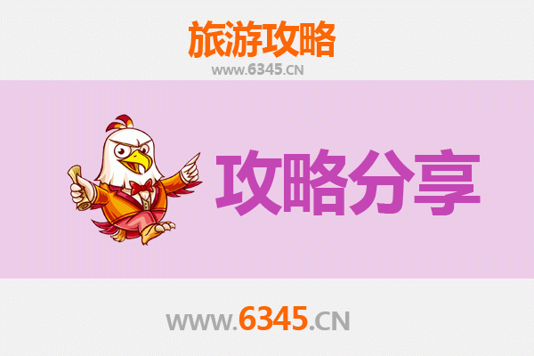 重庆南岸旅游攻略：跟团与自由行深度对比